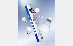 NCS MAX - Le nouveau joyaux de la famille NCS arrive bientôt !