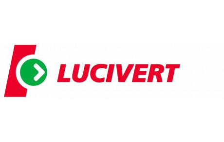 LUCIVERT